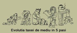 evolutia taxei